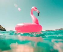 relax in the hamptons. spa, beach, bar, boating guide